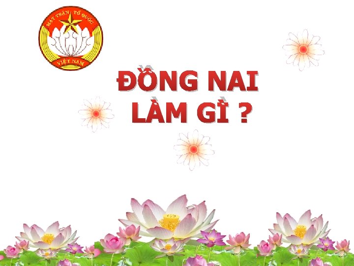 ĐỒNG NAI LÀM GÌ ? 