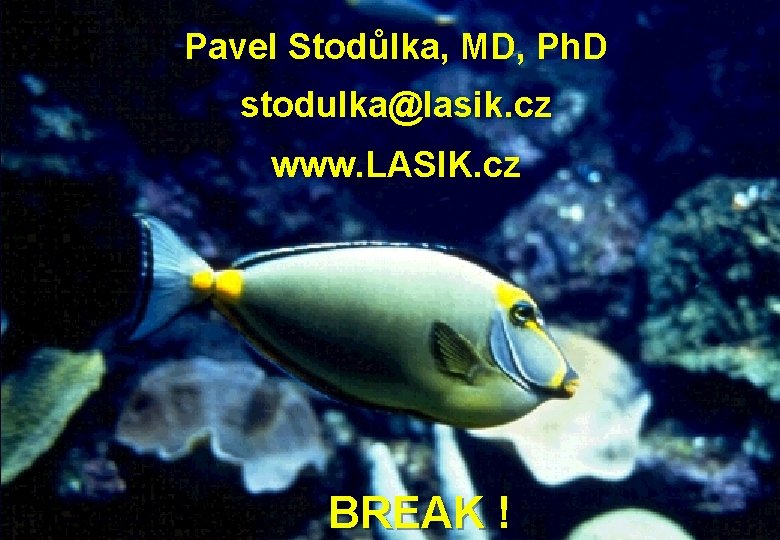 Pavel Stodůlka, MD, Ph. D stodulka@lasik. cz www. LASIK. cz BREAK ! 