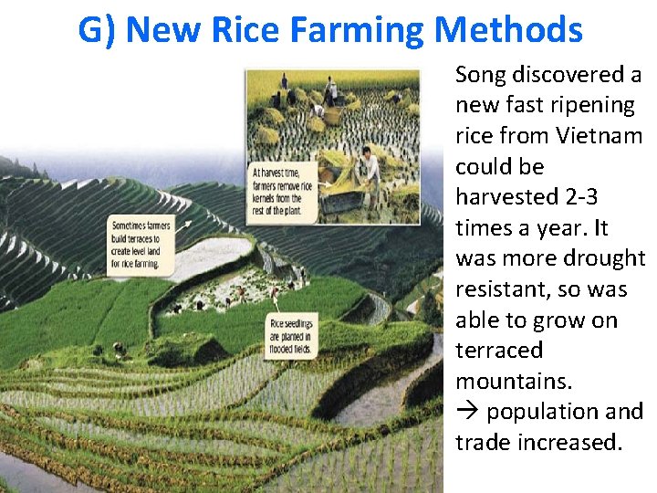 G) New Rice Farming Methods Song discovered a new fast ripening rice from Vietnam