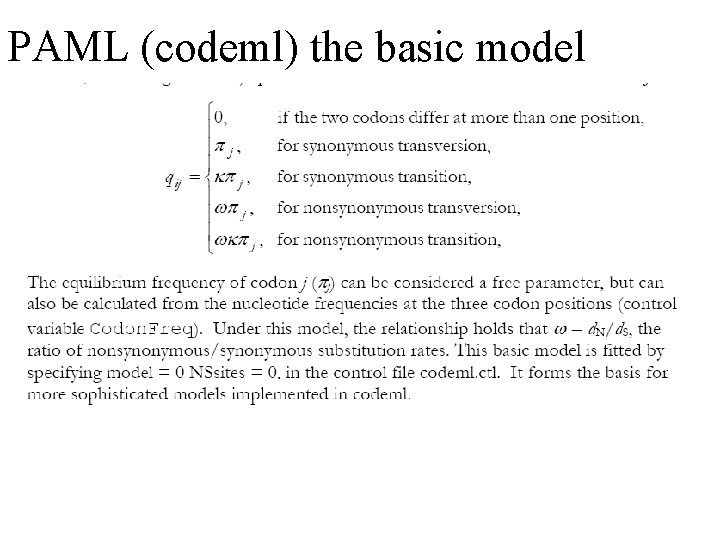 PAML (codeml) the basic model PAML (codeml) the basic model