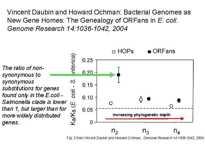 Vincent Daubin and Howard Ochman: Bacterial Genomes as New Gene Homes: The Genealogy of