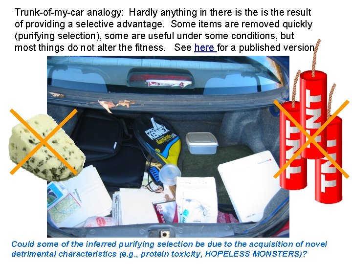 Trunk-of-my-car analogy: Hardly anything in there is the result of providing a selective advantage.