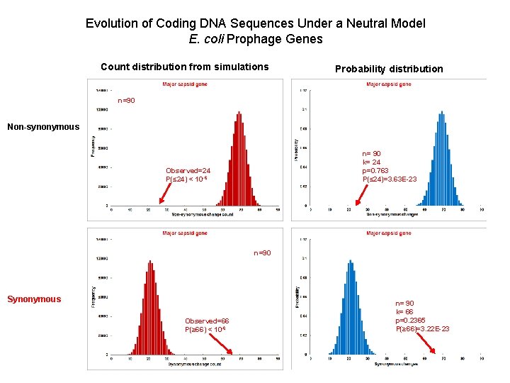 Evolution of Coding DNA Sequences Under a Neutral Model E. coli Prophage Genes Count