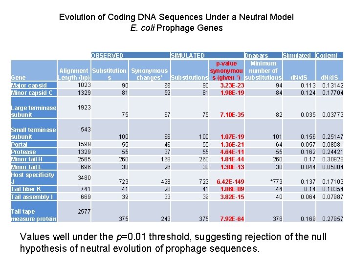 Evolution of Coding DNA Sequences Under a Neutral Model E. coli Prophage Genes OBSERVED