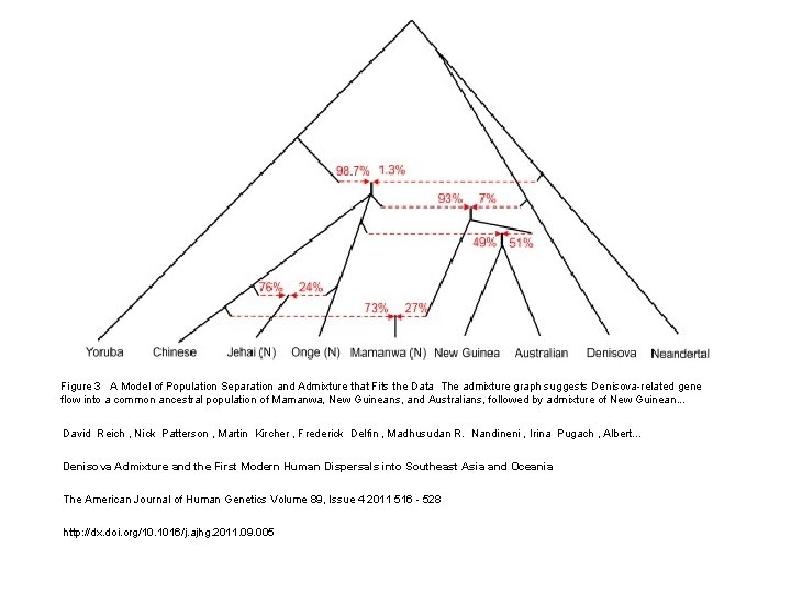 Figure 3 A Model of Population Separation and Admixture that Fits the Data The Figure 3 A Model of Population Separation and Admixture that Fits the Data The
