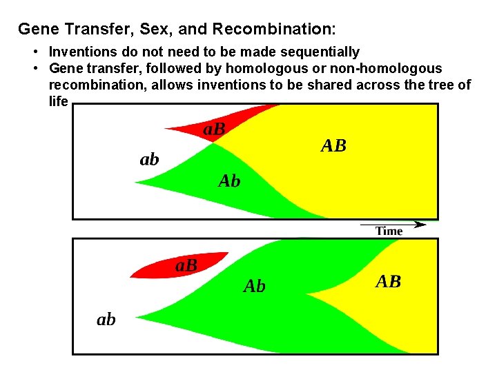 Gene Transfer, Sex, and Recombination: • Inventions do not need to be made sequentially Gene Transfer, Sex, and Recombination: • Inventions do not need to be made sequentially
