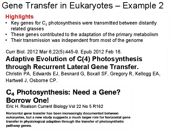 Gene Transfer in Eukaryotes – Example 2 Highlights • Key genes for C 4