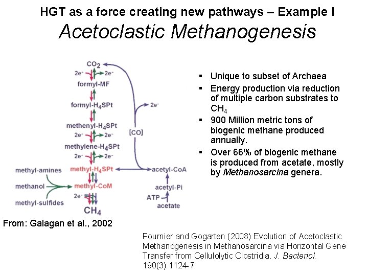 HGT as a force creating new pathways – Example I Acetoclastic Methanogenesis § Unique