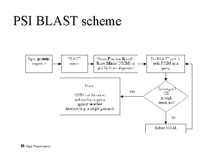 PSI BLAST scheme 