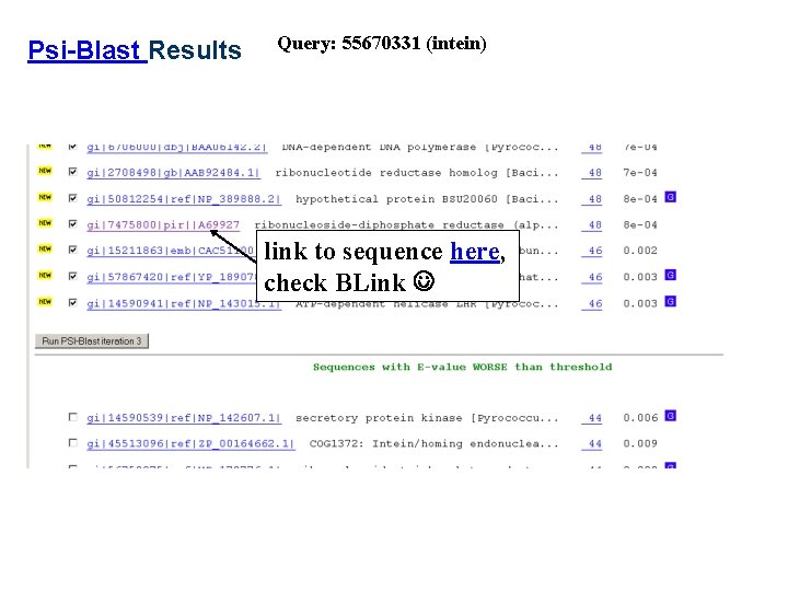 Psi-Blast Results Query: 55670331 (intein) link to sequence here, check BLink 