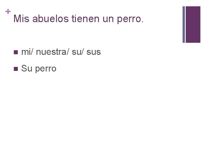 + Mis abuelos tienen un perro. n mi/ nuestra/ sus n Su perro 