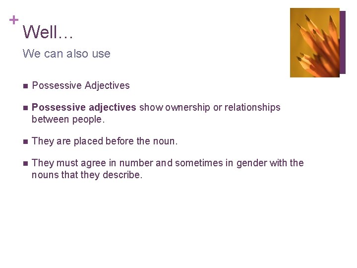 + Well… We can also use n Possessive Adjectives n Possessive adjectives show ownership