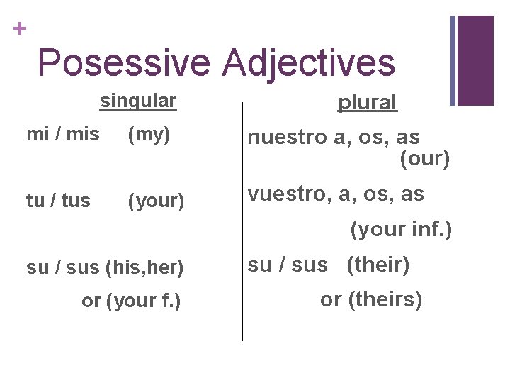 + Posessive Adjectives singular plural mi / mis (my) nuestro a, os, as (our)