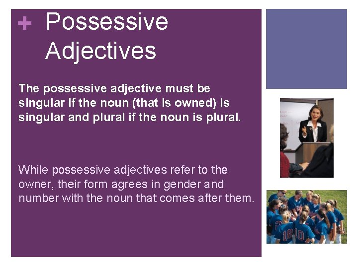 + Possessive Adjectives The possessive adjective must be singular if the noun (that is