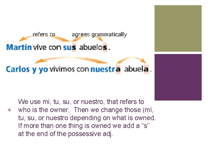 We use mi, tu, su, or nuestro, that refers to + who is the