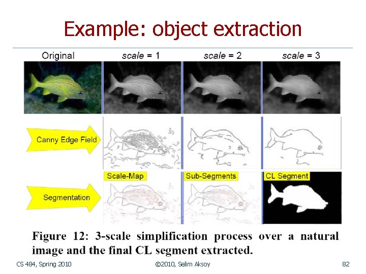 Example: object extraction CS 484, Spring 2010 © 2010, Selim Aksoy 82 