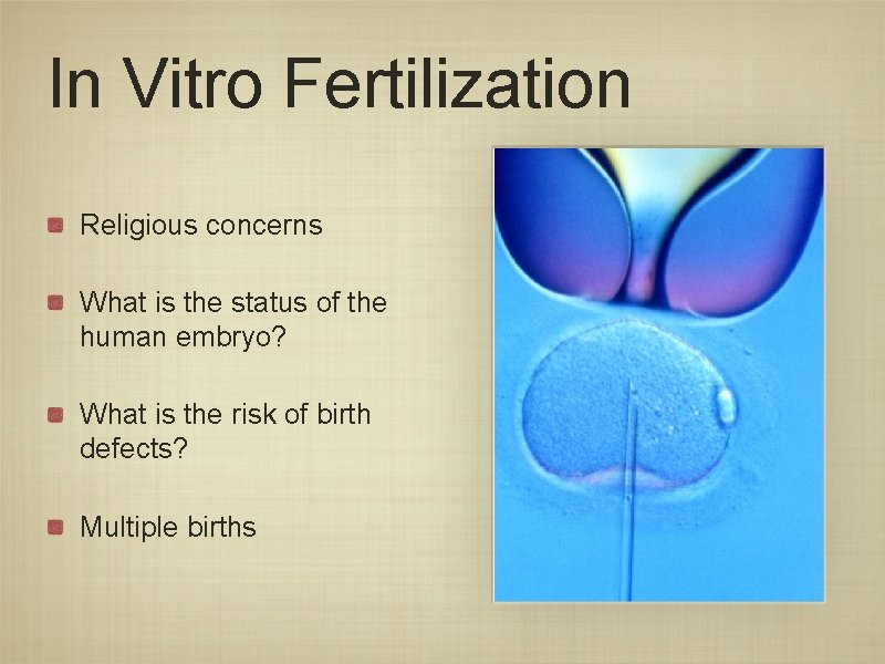 In Vitro Fertilization Religious concerns What is the status of the human embryo? What In Vitro Fertilization Religious concerns What is the status of the human embryo? What