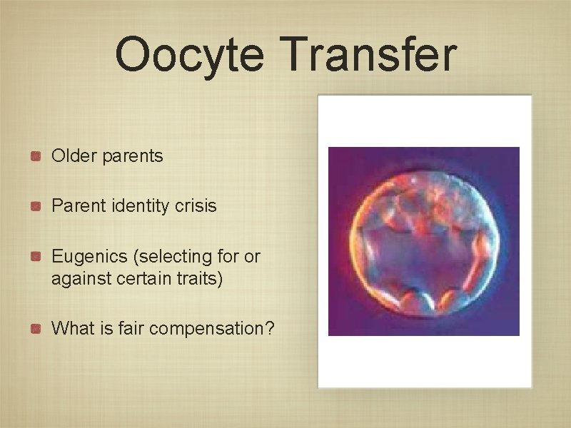 Oocyte Transfer Older parents Parent identity crisis Eugenics (selecting for or against certain traits) Oocyte Transfer Older parents Parent identity crisis Eugenics (selecting for or against certain traits)