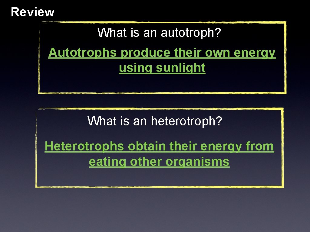 Review What is an autotroph? Autotrophs produce their own energy using sunlight What is