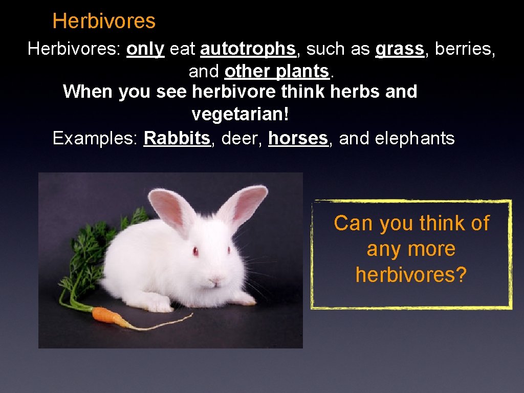 Herbivores: only eat autotrophs, such as grass, berries, and other plants. When you see