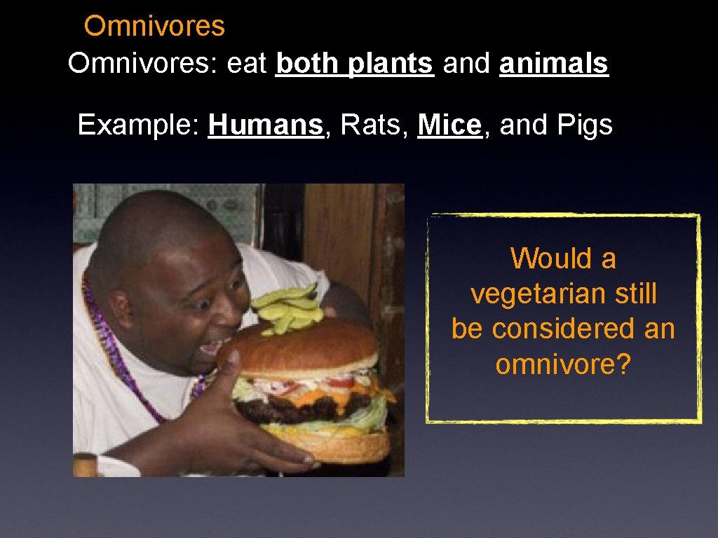 Omnivores: eat both plants and animals Example: Humans, Rats, Mice, and Pigs Would a