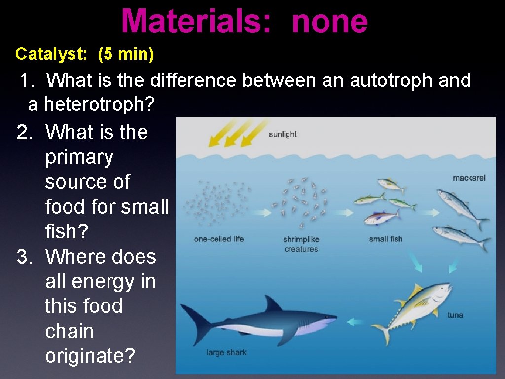 Materials: none Catalyst: (5 min) 1. What is the difference between an autotroph and