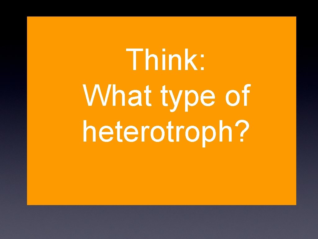 Think: What type of heterotroph? 