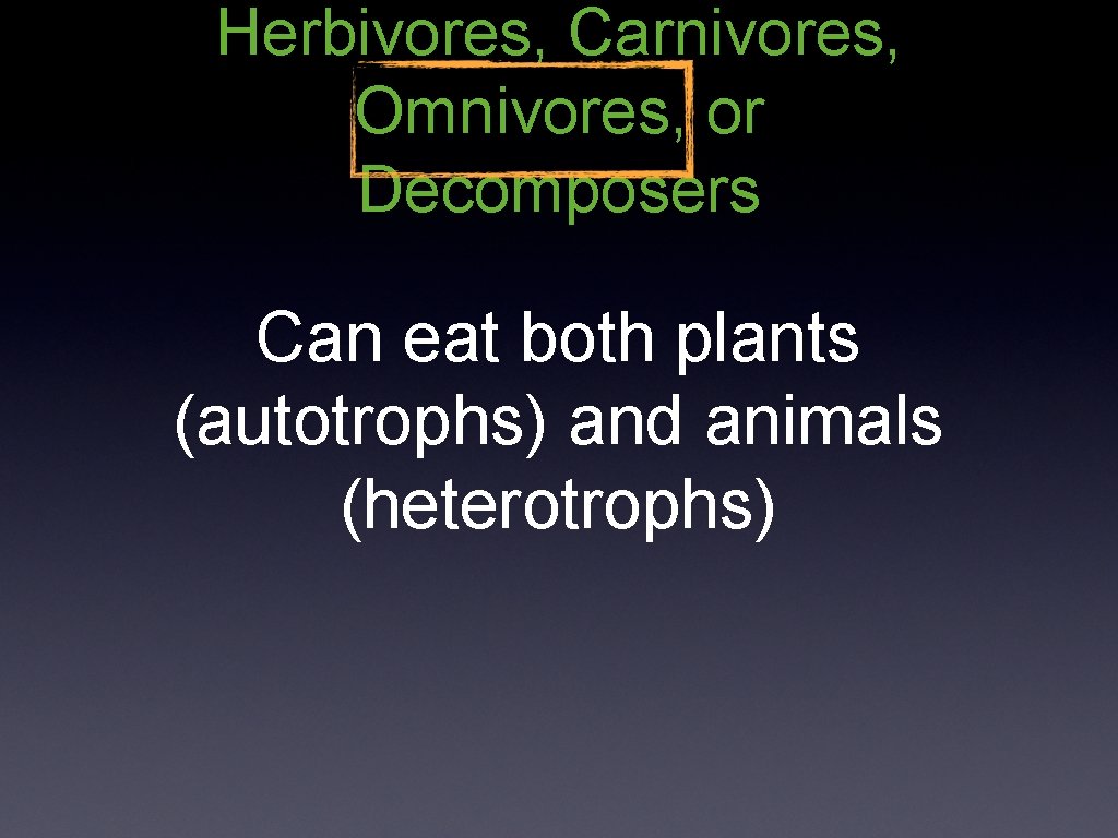 Herbivores, Carnivores, Omnivores, or Decomposers Can eat both plants (autotrophs) and animals (heterotrophs) 