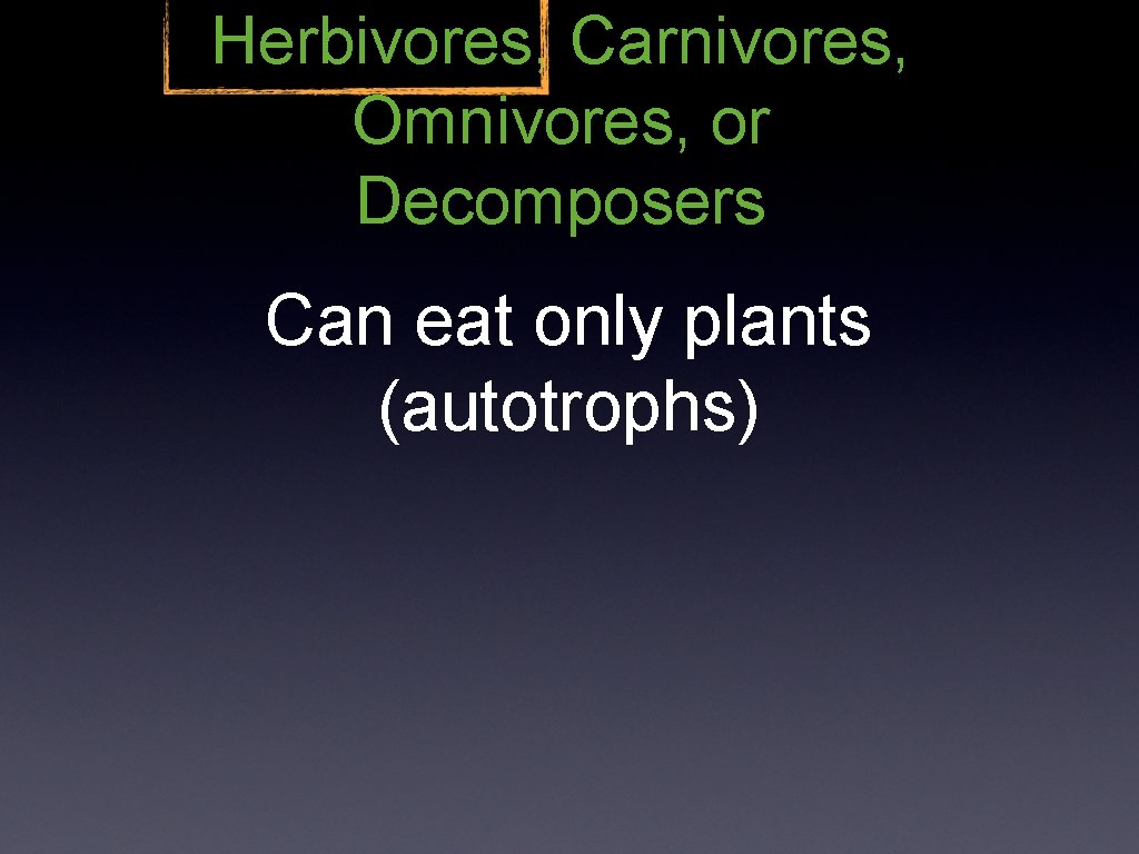 Herbivores, Carnivores, Omnivores, or Decomposers Can eat only plants (autotrophs) 