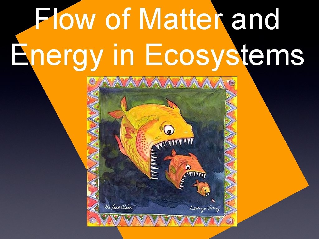 Flow of Matter and Energy in Ecosystems 