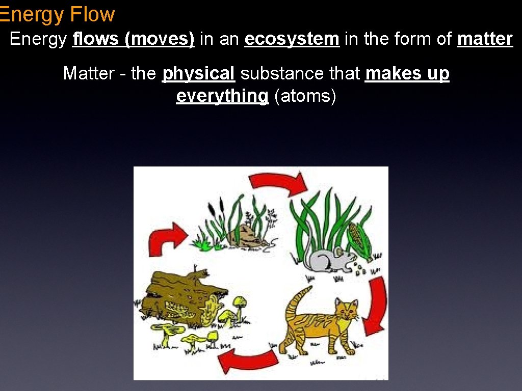 Energy Flow Energy flows (moves) in an ecosystem in the form of matter Matter