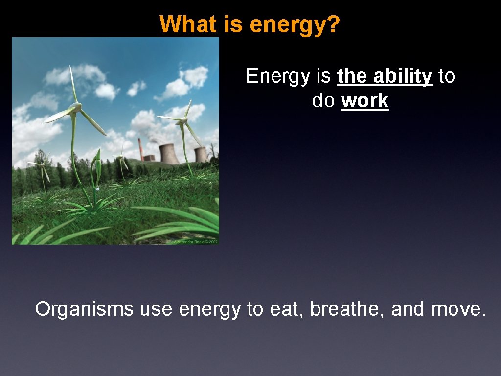 What is energy? Energy is the ability to do work Organisms use energy to