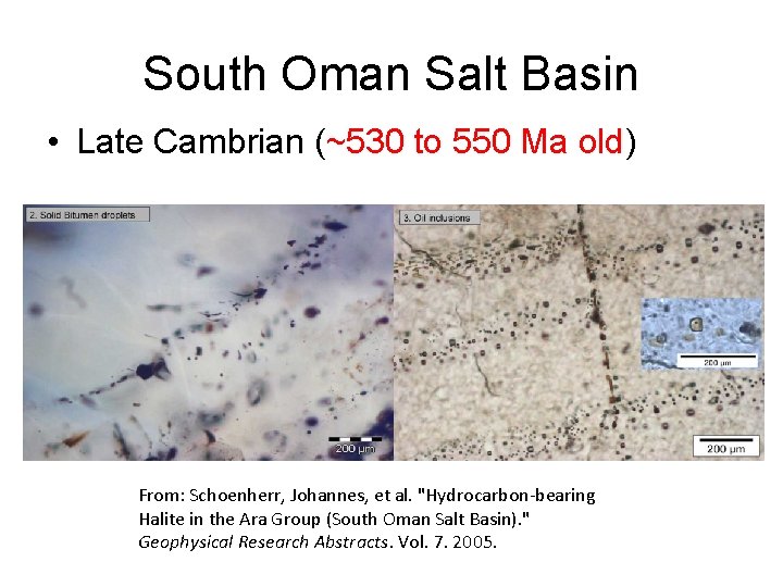 South Oman Salt Basin • Late Cambrian (~530 to 550 Ma old) From: Schoenherr,