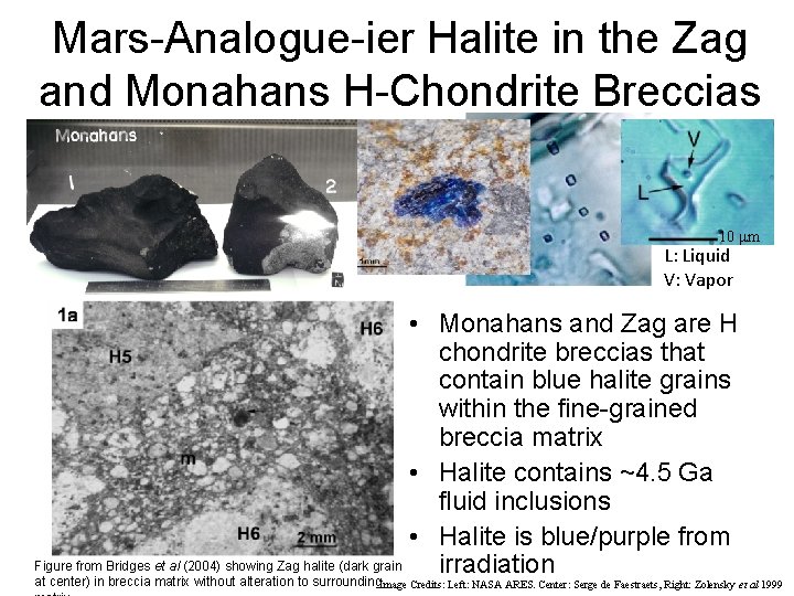 Mars-Analogue-ier Halite in the Zag and Monahans H-Chondrite Breccias 10 mm L: Liquid V: