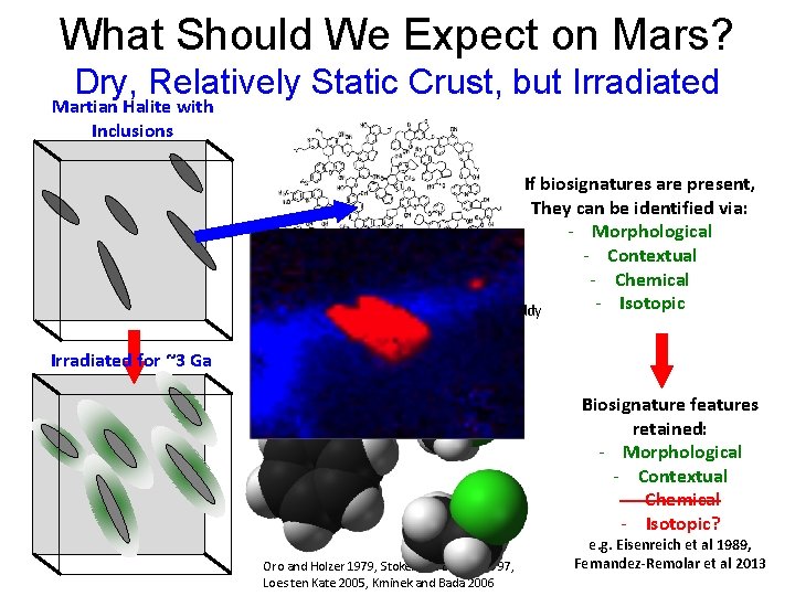 What Should We Expect on Mars? Dry, Relatively Static Crust, but Irradiated Martian Halite