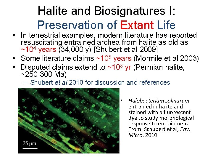 Halite and Biosignatures I: Preservation of Extant Life • In terrestrial examples, modern literature