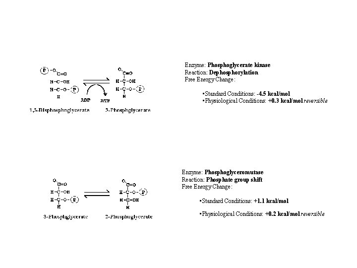 Enzyme: Phosphoglycerate kinase Reaction: Dephosphorylation Free Energy Change: • Standard Conditions: -4. 5 kcal/mol