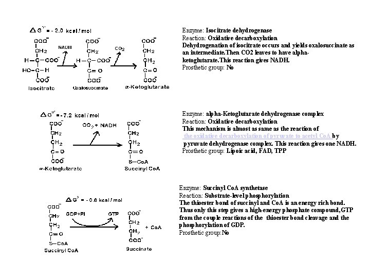 Enzyme: Isocitrate dehydrogenase Reaction: Oxidative decarboxylation Dehydrogenation of isocitrate occurs and yields oxalosuccinate as