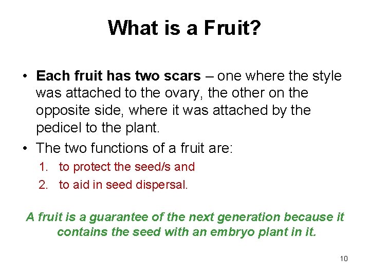 What is a Fruit? • Each fruit has two scars – one where the