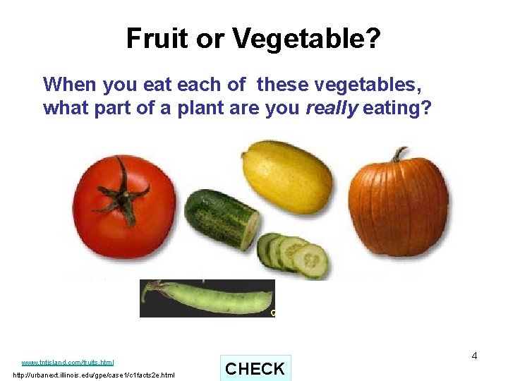 Fruit or Vegetable? When you eat each of these vegetables, what part of a
