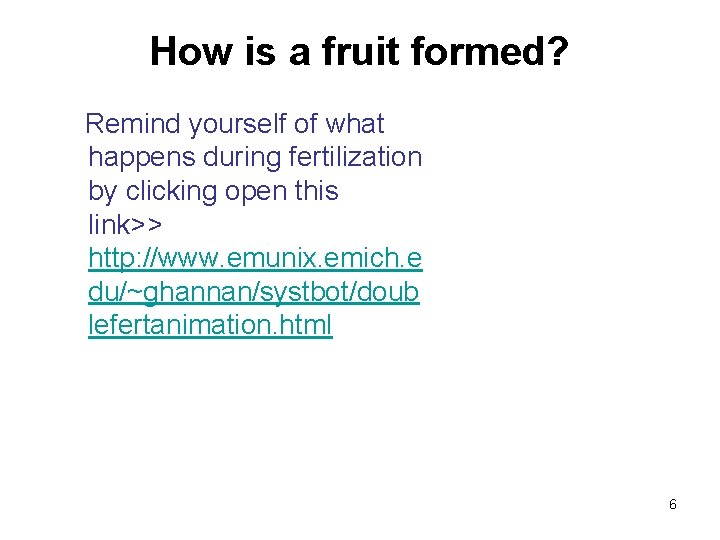 How is a fruit formed? Remind yourself of what happens during fertilization by clicking