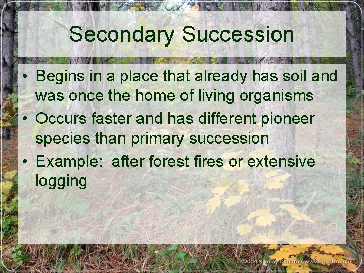 Secondary Succession • Begins in a place that already has soil and was once