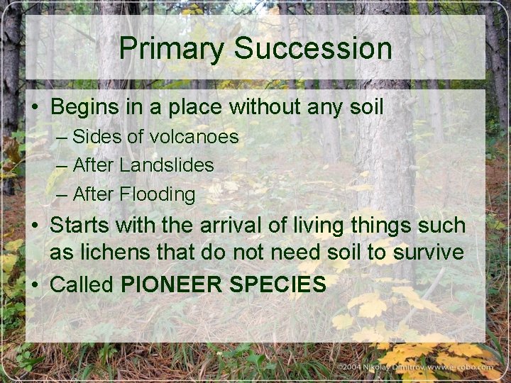 Primary Succession • Begins in a place without any soil – Sides of volcanoes