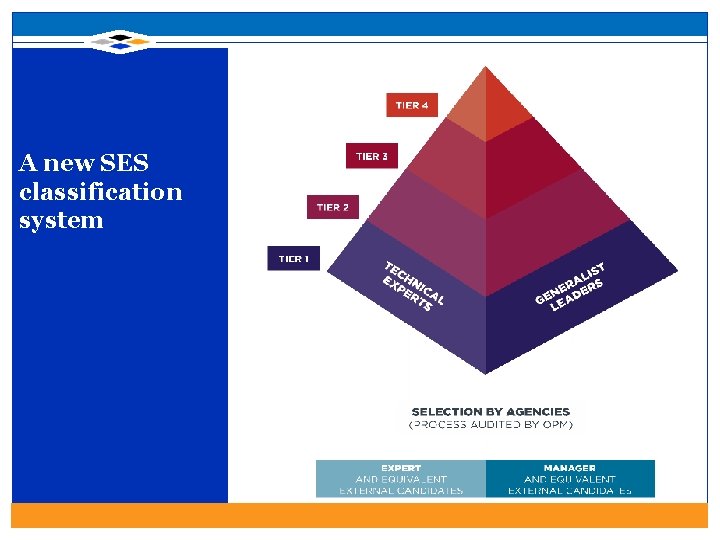 A new SES classification system 