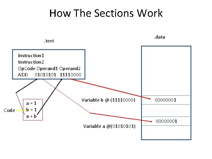 How The Sections Work. data . text Instruction 1 Instruction 2 Op. Code Operand