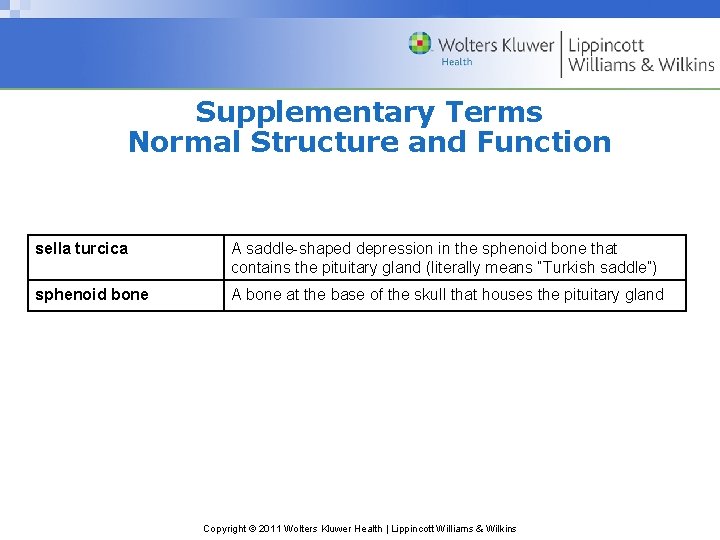 Supplementary Terms Normal Structure and Function sella turcica A saddle-shaped depression in the sphenoid Supplementary Terms Normal Structure and Function sella turcica A saddle-shaped depression in the sphenoid