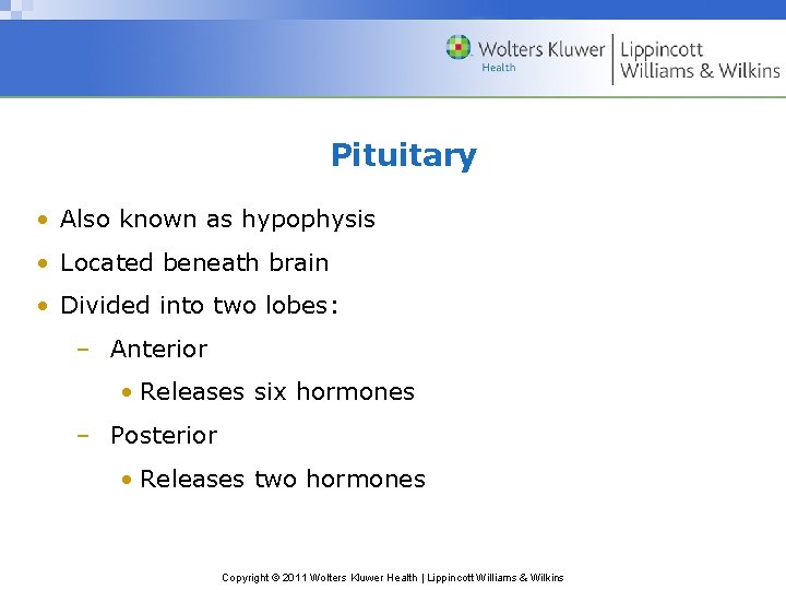 Pituitary • Also known as hypophysis • Located beneath brain • Divided into two Pituitary • Also known as hypophysis • Located beneath brain • Divided into two