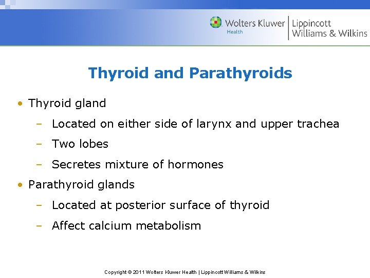 Thyroid and Parathyroids • Thyroid gland – Located on either side of larynx and Thyroid and Parathyroids • Thyroid gland – Located on either side of larynx and