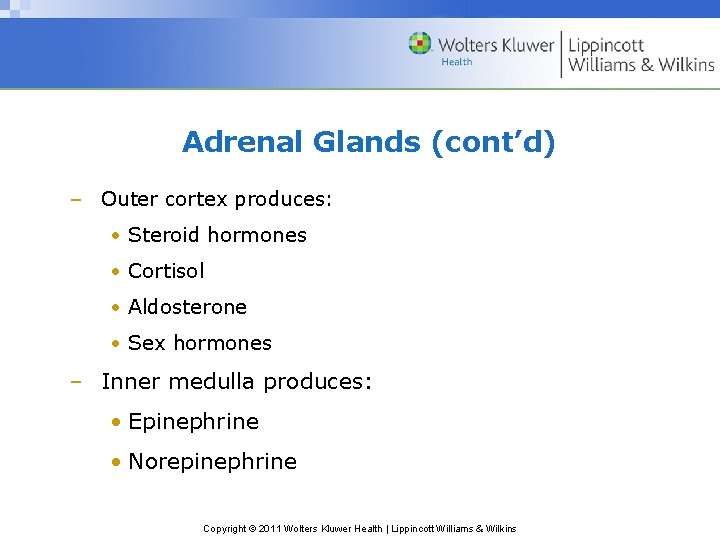 Adrenal Glands (cont’d) – Outer cortex produces: • Steroid hormones • Cortisol • Aldosterone Adrenal Glands (cont’d) – Outer cortex produces: • Steroid hormones • Cortisol • Aldosterone