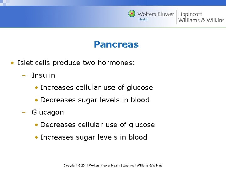 Pancreas • Islet cells produce two hormones: – Insulin • Increases cellular use of Pancreas • Islet cells produce two hormones: – Insulin • Increases cellular use of